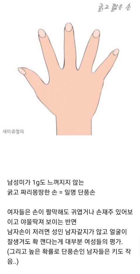 처자들이 극혐한다는 남자손모양