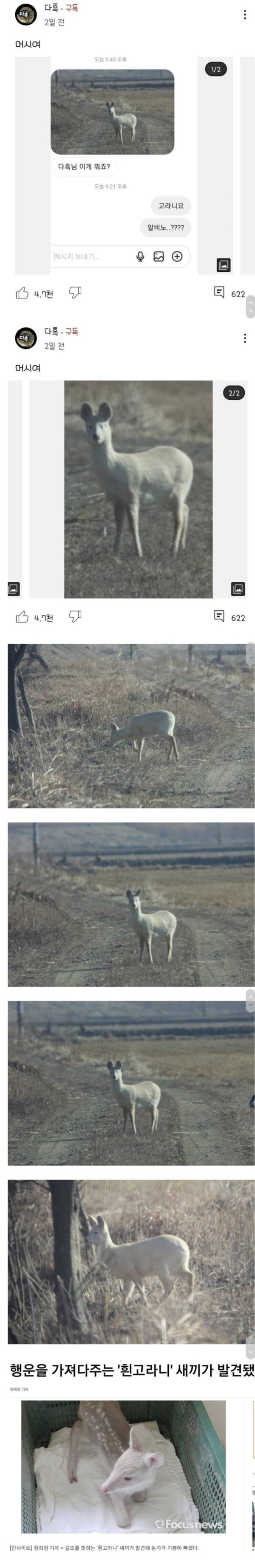 충청도에서 발견된 운전자들에게 행운을 가져다주는 존재 등장.JPG