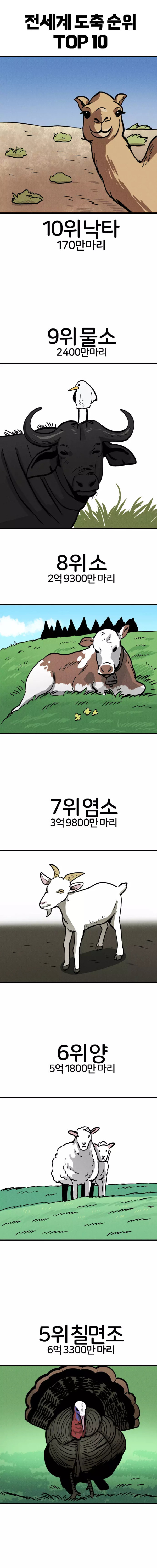 전세계 동물 도축순위 TOP 10.jpg