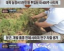 1억 넘었던 당근 서리 사건 결말.