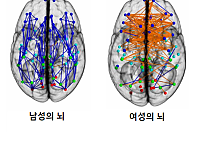 남녀 대화가 안 통하는 과학적인 이유.JPG